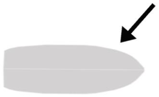 Figura 3