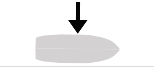 Figura 7