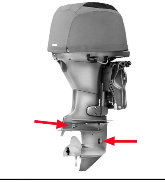 Figura 10