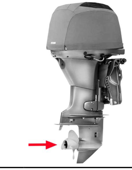 Figura 12