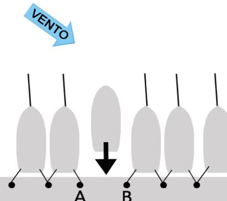 Figura 27