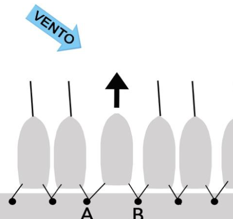 Figura 29