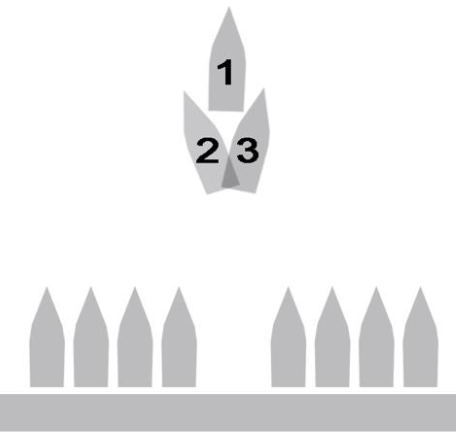 Figura 32