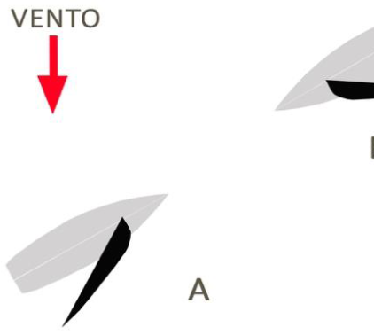 Figura 55